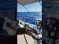 Yachting Experience 2026: Sailing, Service &amp; Training | Яхтинг: Аренда, Обучение, Перегон и Сервис