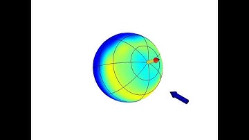 Volvox carteri phototaxis
