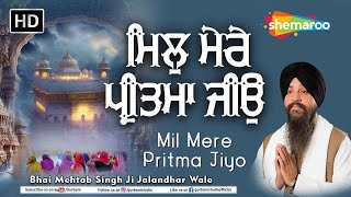 New Shabad Kirtan Gurbani 2024 | Mil Mere Pritma Jiyo | Bhai Mehtab Singh Ji Jalandhar Wale