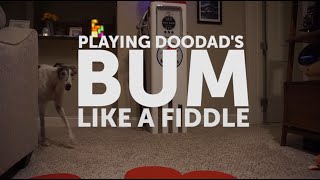 Playing Doodad's Bum Like a Fiddle