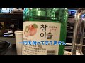 【レズビアン】彼女と二人きりの日本旅行！食べる、泊まる、全部エモい！【カップル】