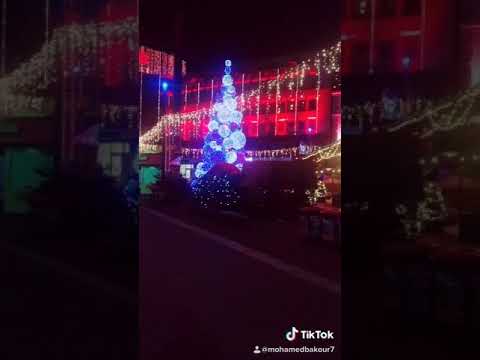 وردة قرب تعاله