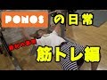 【日常】PONOS筋トレ部!これが勝利の秘訣?