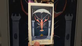 Leo ~May Tarot