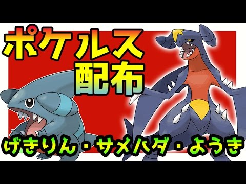 ポケモンサンムーン実況 配布企画 ポケルス付レート用 ガブリアス になる高個体 サメハダ ようき げきりん フカマル Pokemon Sun And Moon Youtube