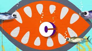 Nick Zu Comedy Central1 Übergang Nick Deutschland