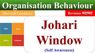 Johari Window, Self Awareness, johari window in hindi, johari window explained, OB, screenshot 5