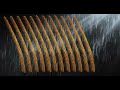 Rainstick Rain Noise
