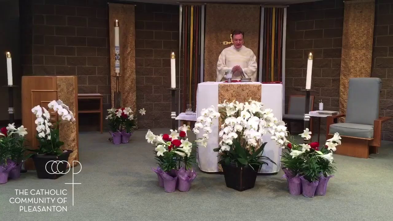 The Catholic Community Of Pleasanton Live Stream YouTube