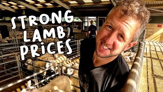 First Lambs to Market this year!