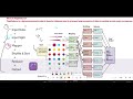 hdfs 3 (map reduce)
