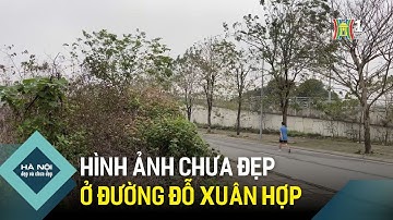 Nhếch nhác khu vực giải phân cách tuyến đường Đỗ Xuân Hợp | Hà Nội đẹp và chưa đẹp