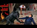 لحظه تحول محمد يحياا لي سلعوه أمام الكاميرا فديوا خطر 