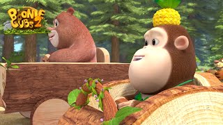 Boonie Cubs Red Light, Yellow Light, Green Lightnew Episodes Season 2 Ep 10
