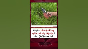 Hàng loạt cột điện cao thế ở Hà Nội bị cắt trộm cáp tiếp địa rút lõi đồng #plxhvn #tromcap #toipham