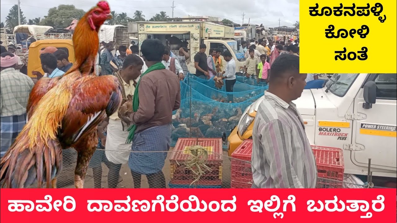 ಕೂಕನಪಳ್ಳಿ ಕೋಳಿ ಸಂತೆ | Famous Kukanapalli chicken market in Karnataka |