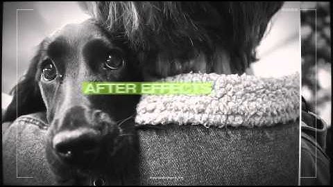 After Effects Project Files - Simple Slideshow _ VideoHive