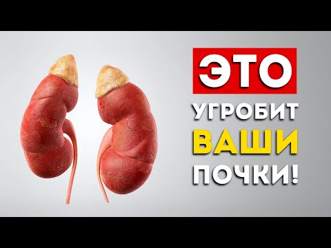 Видео: Почки: 3 самых вредных и 4 самых полезных продукта (Это надо знать)