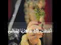 حنيتلك من قلب حساس يامنتي تايه ومغروم