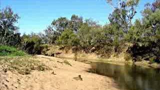 Bavang Napatai -  Datuk Justin Stimol