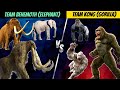 Team behemoth elephant vs team kong gorilla epic battle