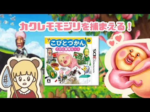 こびとづかん】カクレモモジリを探せ！生配信【こびとづかん こびと