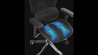ADAPWORK S7 Mesh Senior ErgoChair. Mesh seat.