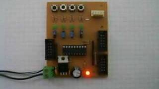 Pic Trainer 18 pines - Led Blinking