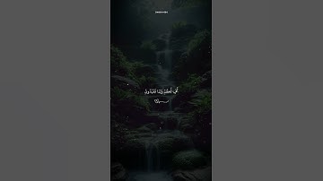 ﴿أَفَتَعْبُدُونَ مِن دُونِ اللَّهِ مَا لَا يَنفَعُكُمْ﴾ | تلاوة مؤثرة من سورة الأنبياء #إسلام_صبحي