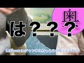 【ドッキリ報告】奥さんにyoutuberになっていいか聞いてみた！！