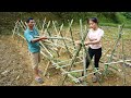Together with my father, I built a trellis for tomatoes and grew vegetables - LTtivi