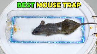 Best Mouse\/Rat Trap Bucket | Mouse in Trap | Mice Traps\/Mouse Trap Near Me | Mouse Catcher