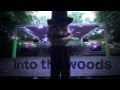 Into the woods festival 2014  aftermovie