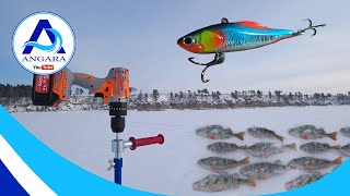 видео: Рыбалка на ратлины Хигаши в глухозимье на Ангаре. Ледобур шуруповерт Сумитачи. картинка: Рыбалка на ратлины Хигаши в глухозимье на Ангаре. Ледобур шуруповерт Сумитачи.