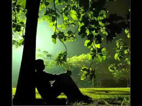 الشيخ محمد الصاوى لمن يريد التوبه كفاية ذنوب تعالو نتوب