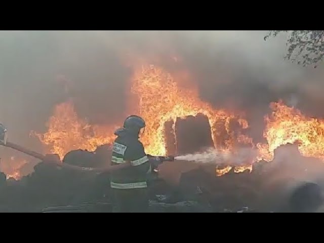 Porno multfilm Dexter laboratoriyasi Busty xizmatkor