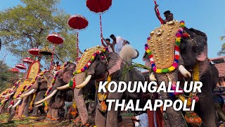 Kodungallur Thalappoli (കൊടുങ്ങല്ലൂർ താലപ്പൊലി )