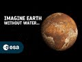 The Vital Role of Water in Earth's Climate and Ecosystems
