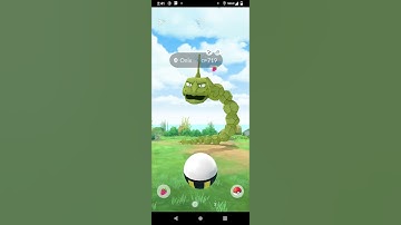 Another one shiny onix in the same place!