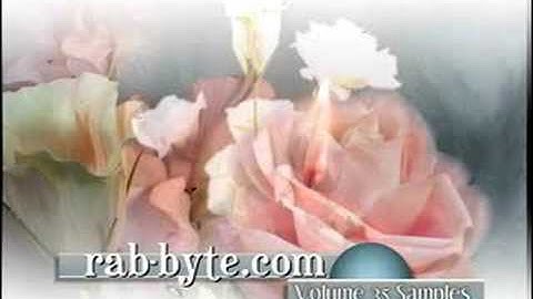 RAB-BYTE sample of Volume 35, "Wedding Openings & Closings"