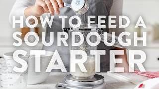 Feeding and Maintaining a Sourdough Starter