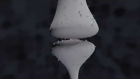 What Memories Are Made Of