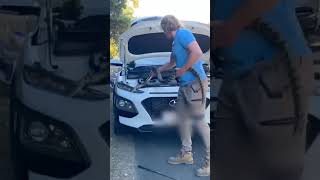 Big carpet python removed from car engine!