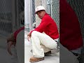 New Era Snap by リュウノスケ/ryunosuke feat. Cozy