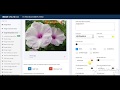 Add text to photo online - imageonline.co