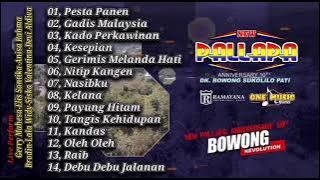 Album Terbaik NEW PALLAPA REVOLUTION BOWONG SUKOLILO #newpallapaterbaru