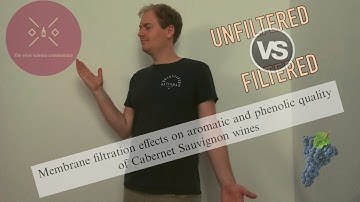 Filtered vs Unfiltered Wine: Does filtration really impact wine quality?