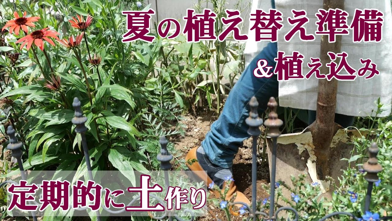 大事な作業 夏に向け土壌改良 植え込み 夏花と春花の共存 半日陰の再改良 ベニカxガード粒剤を使う ネコと庭とガーデニング Youtube