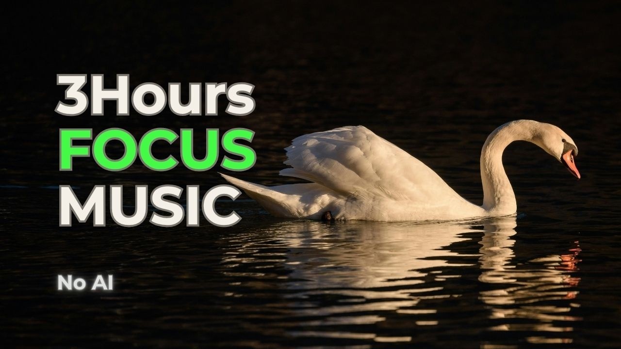 Watch 🎹 Study Music with Peaceful Piano & Ambient Instrumentals (No AI) on YouTube Watch 🎹 Study Music with Peaceful Piano & Ambient Instrumentals (No AI) on YouTube