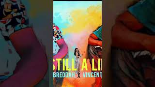 Still A Lie - Breddah, Vincento (Shot Video)